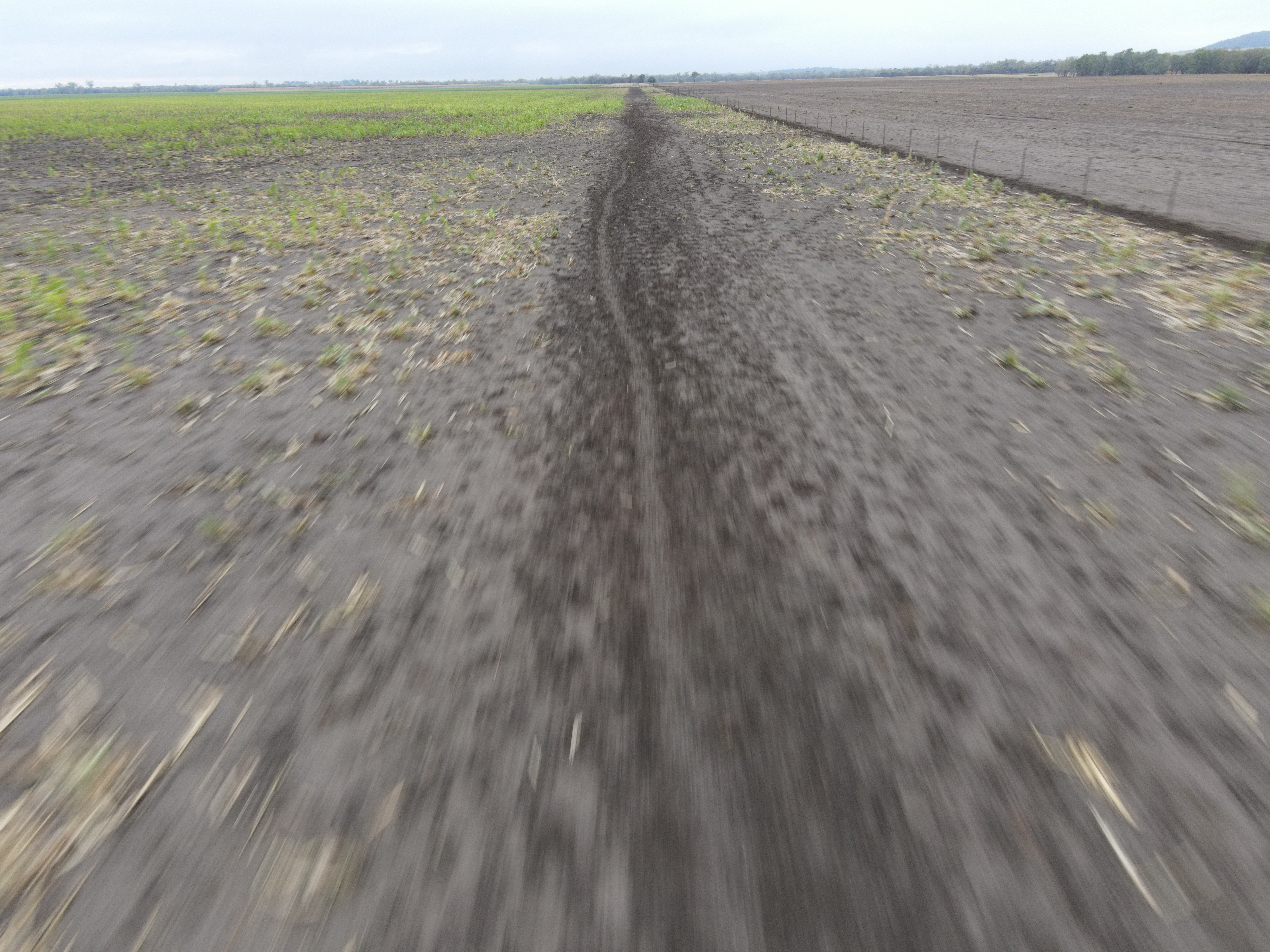 DJI_0210.jpg